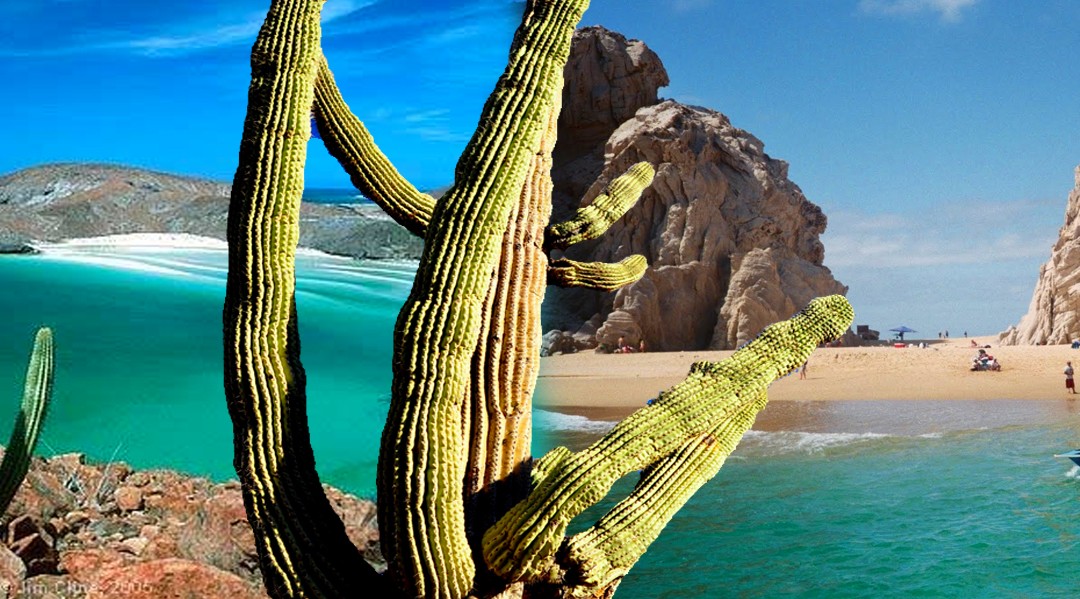 Baja California