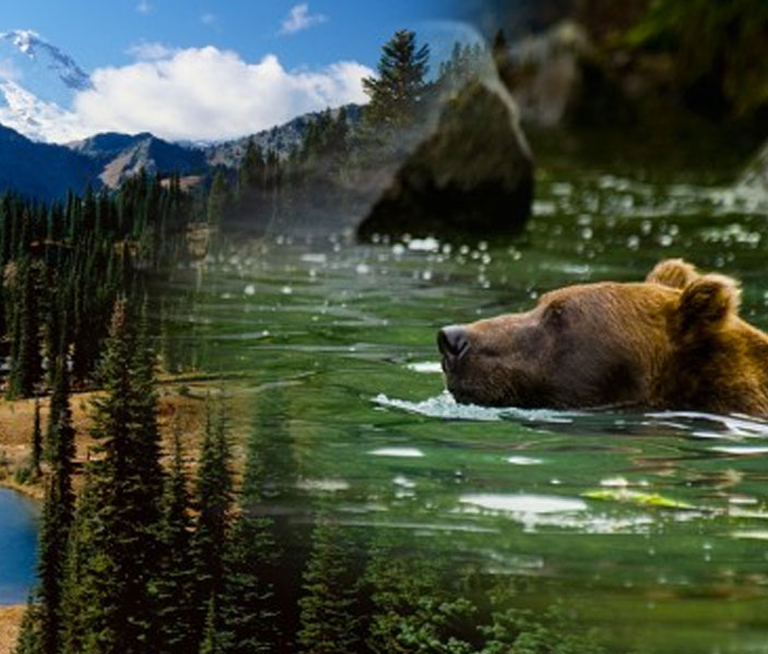 Yukon - geführte Tour