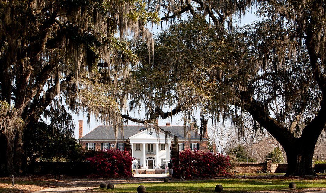 Boone Hall Plantation Alley